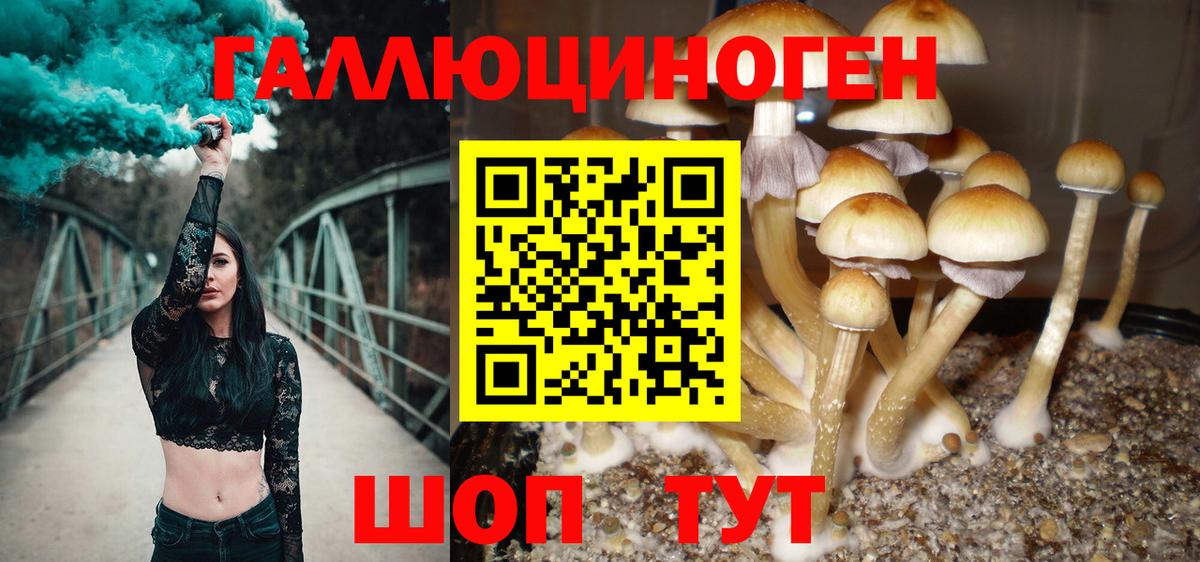 Нягань  Псилоцибиновые грибы Psilocybe  Вход с VPN 